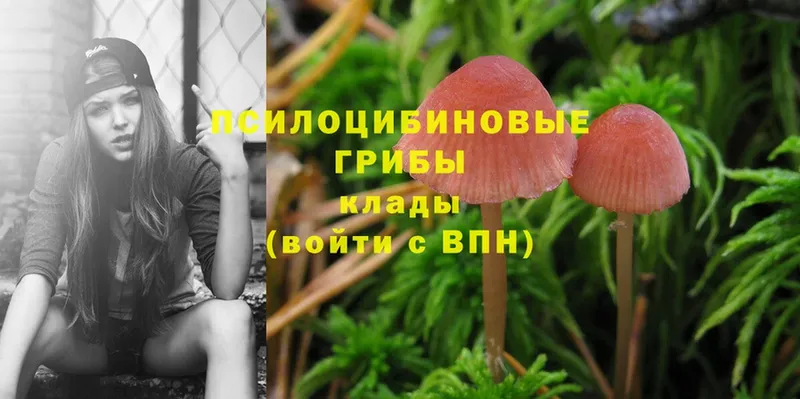 Галлюциногенные грибы Cubensis  OMG ссылки  Катайск 